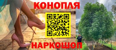 кокс Кунгур