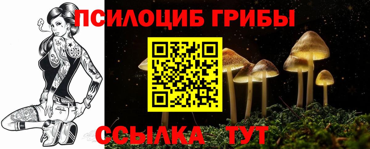 Галлюциногенные грибы Magic Shrooms Чебоксары