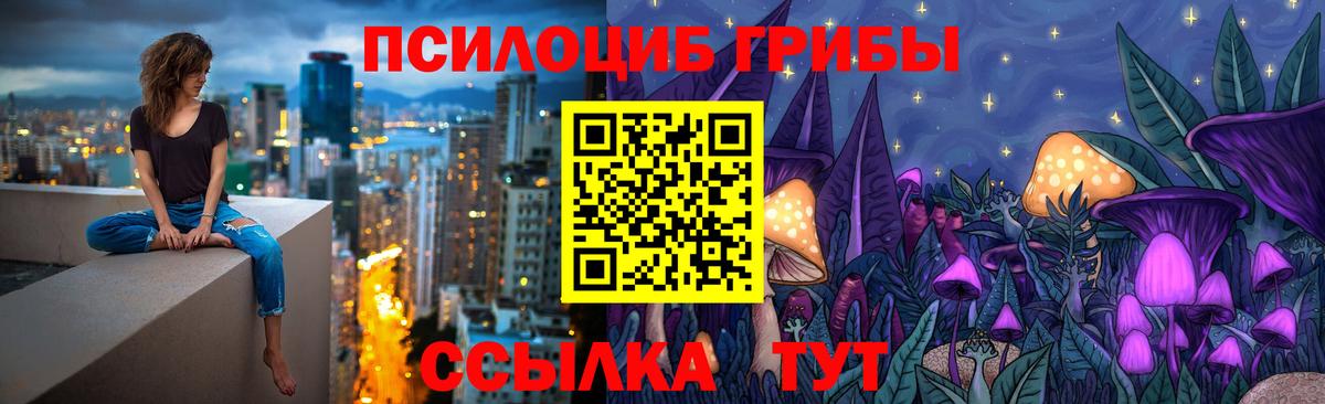 Чебоксары  Галлюциногенные грибы Cubensis  Вход с VPN  Псилоцибиновые грибы GOLDEN TEACHER 